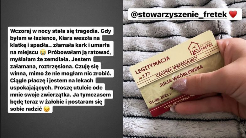 Julia Wróblewska opłakuje ukochaną fretkę