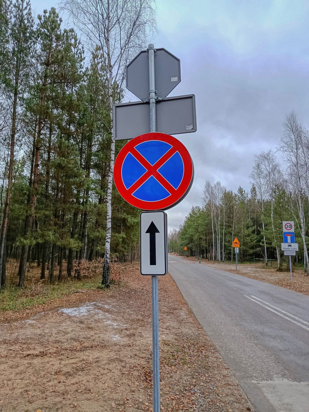 Czy w przyszłym sezonie kierowcy wywołają parkingowy chaos przy Pustyni Błędowskiej?