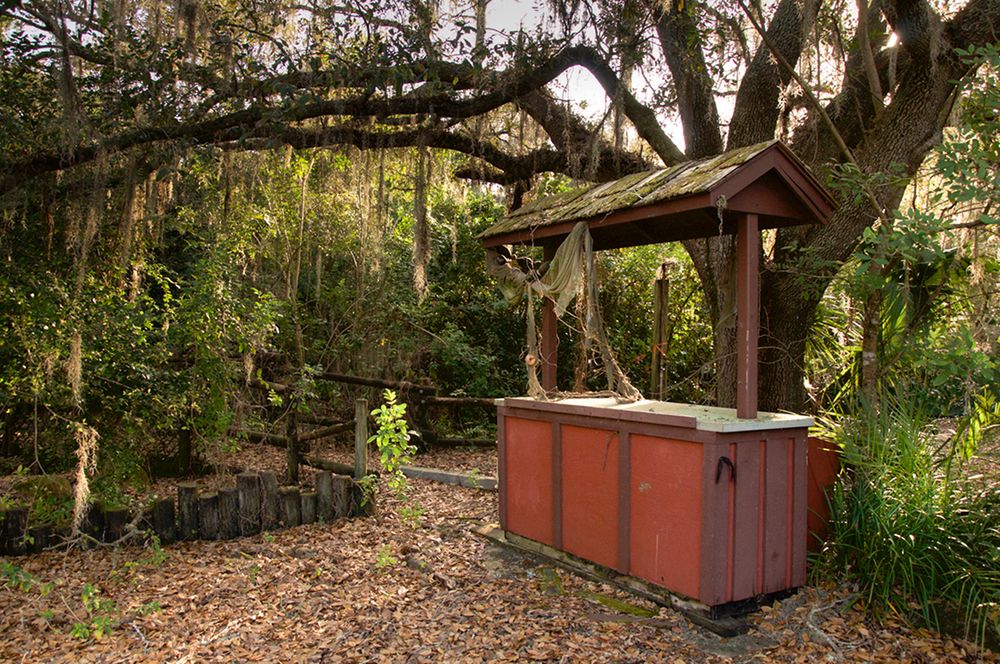 Czy opuszczony Disneyland wciąż może przypominać o dziecięcej radości? 4