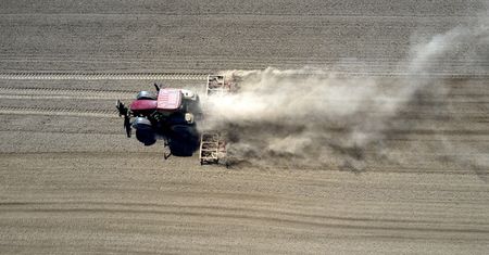 Walka z suszą. Rząd przygotował specustawę