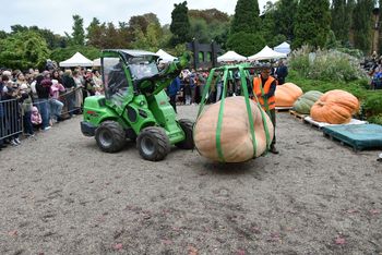 Wrocław: XXII Festiwal Dyni w Ogrodzie Botanicznym. Dyniowa królowa waży ponad 600 kilogramów