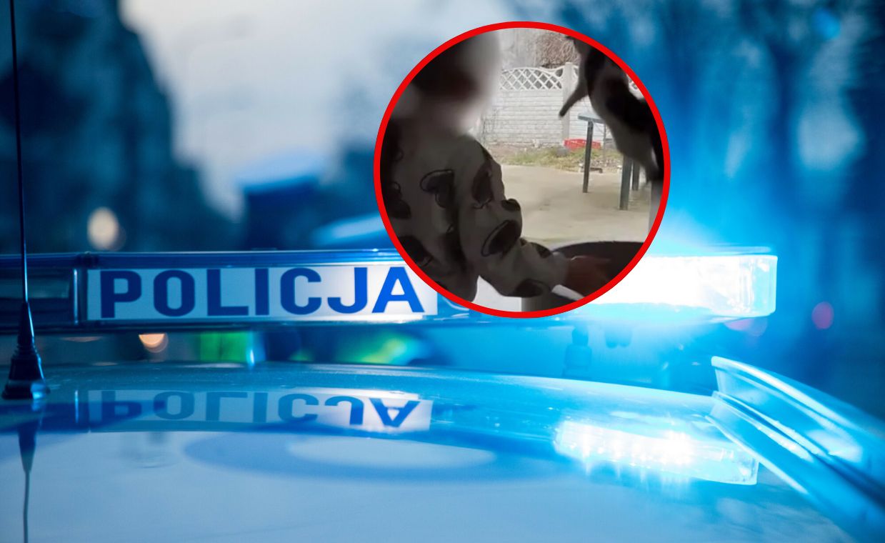 Dziecko znęcało się nad kotem. Matka oskarżona