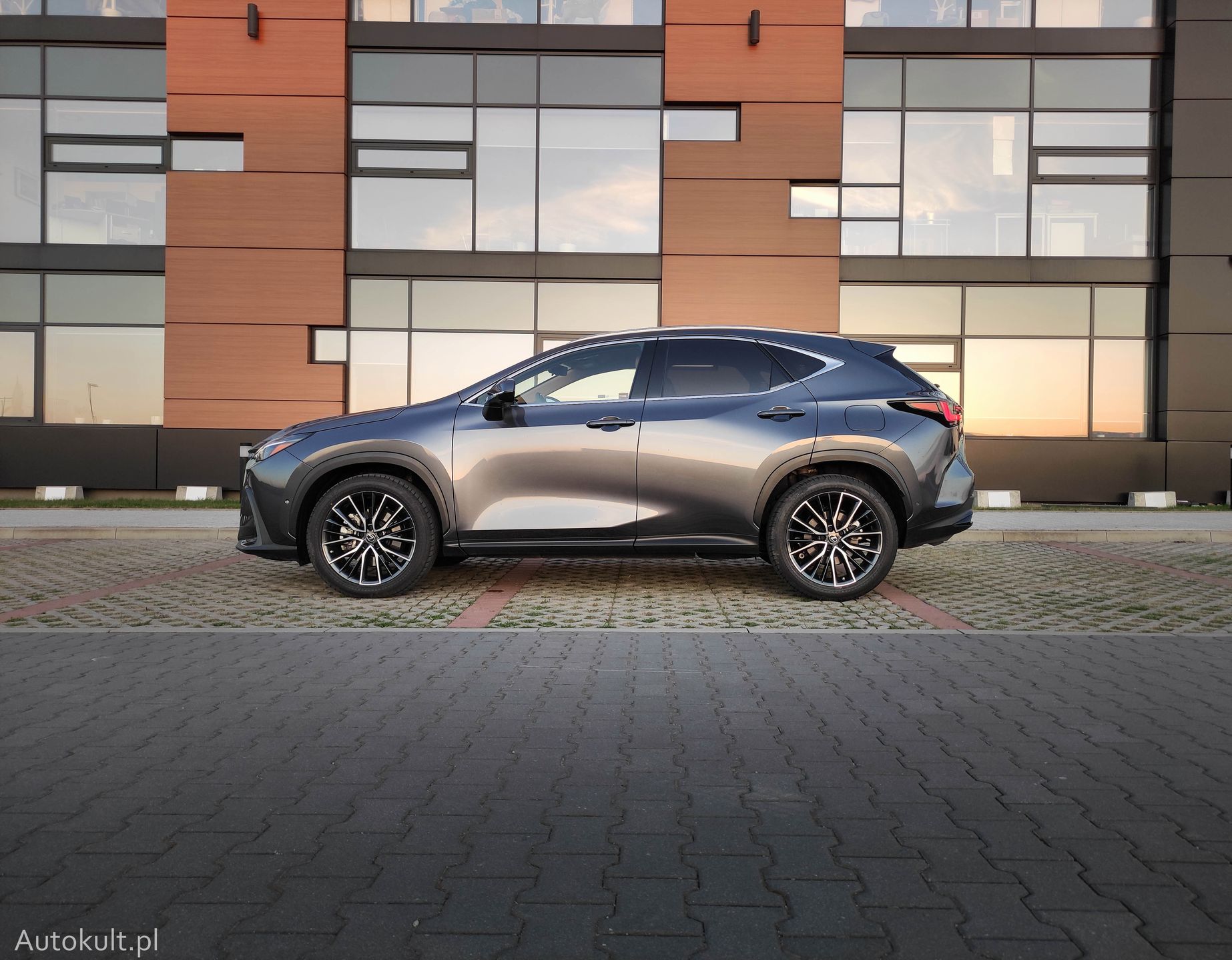 Lexus NX450h+