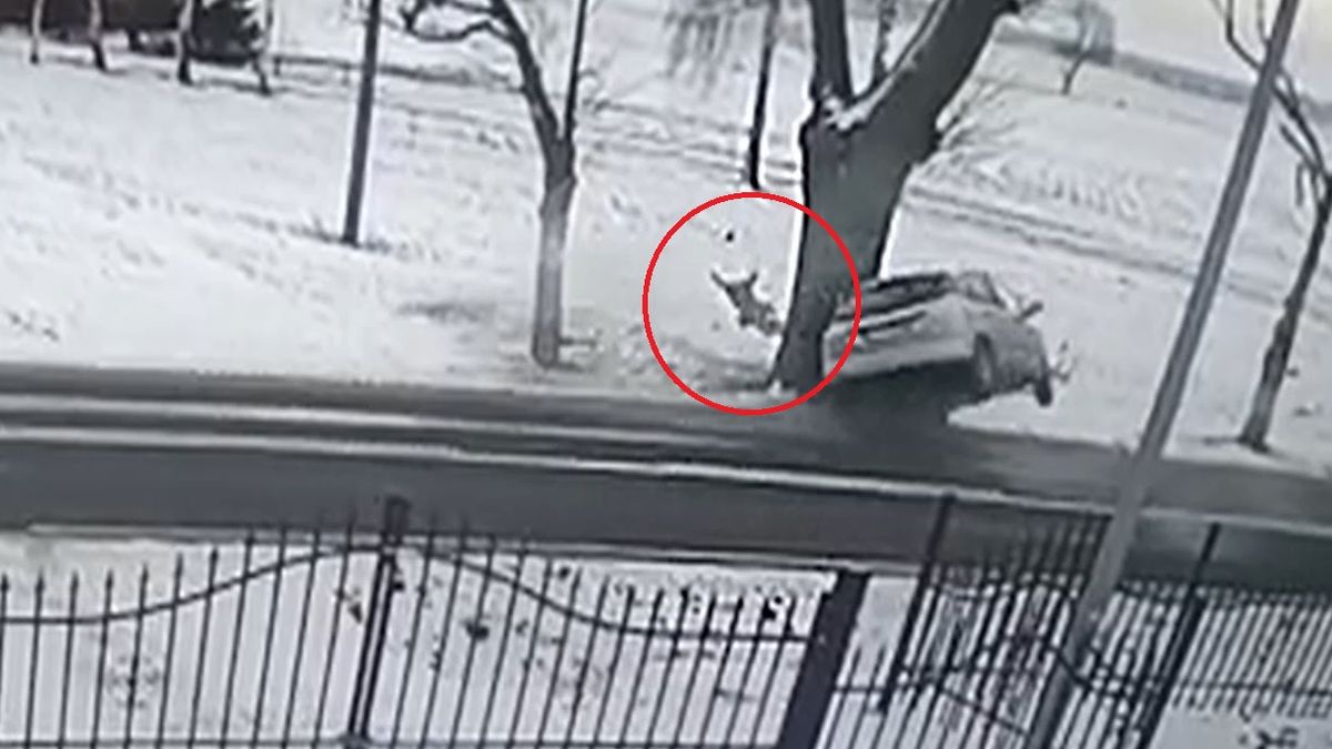 Fotelik na nic się nie zda, jeśli pasy nie są zapięte