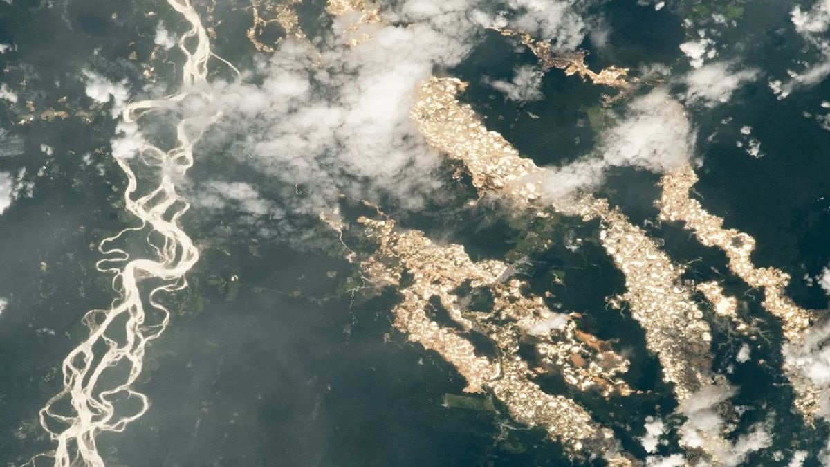Tak błyszczy złoto w lasach Amazonii w Peru. Zdjęcie zrobione przez NASA