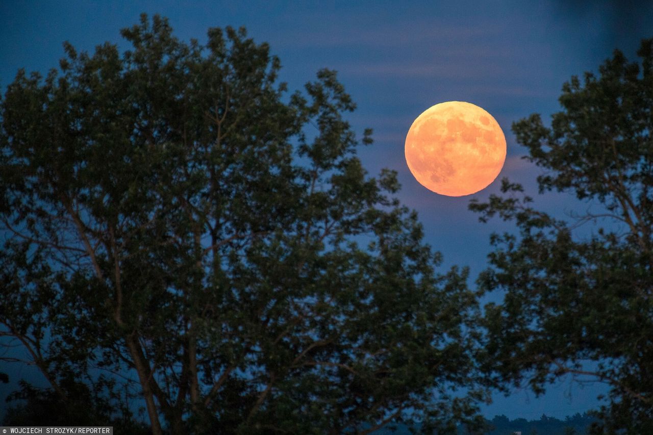 Truskawkowy Księżyc 17.06.2019 Darzyno. 