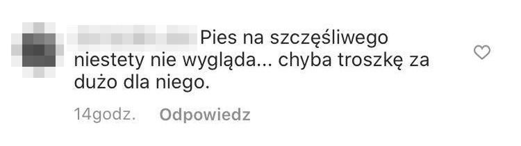 Internauci martwią się o zdrowie psa Joanny Przetakiewicz