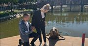 Wyjątkowe sceny w łódzkim ZOO. Foka była świadkiem zaręczyn "Foki"