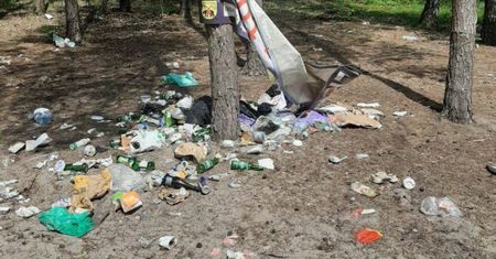 Taki widok w lesie. Nie wytrzymali. Leśnicy reagują