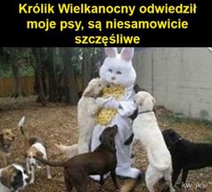 Najlepsze memy Wielkanocne, które rozbawią was do łez. Wielkanoc 2024