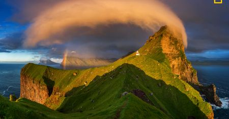 Ruszył konkurs fotograficzny Nature Photographer of The Year 2017. Pierwsze zgłoszone zdjęcia pokazują klasę