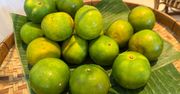 Calamansi – cytrus, który działa jak połączenie cytryny i limonki