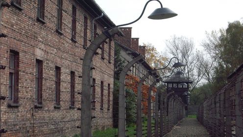 Allegro pozywa za nazistowską przeróbkę swojego logo 1