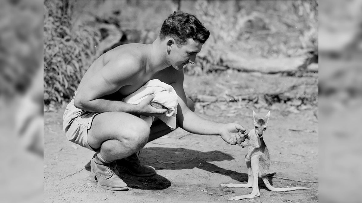 Znalazł się w piekle wojny. Kangur pomagał mu przetrwać 1