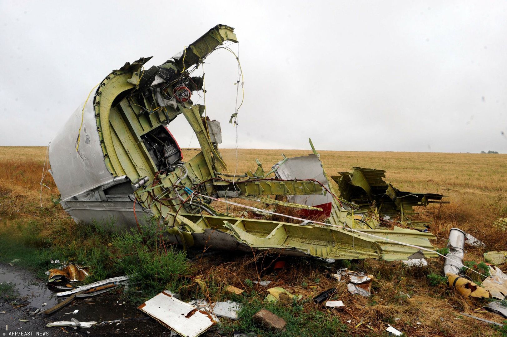 Zestrzelony samolot MH17