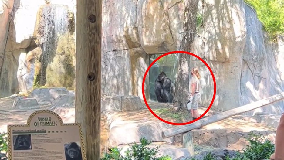 Przerażające zdarzenie zostało utrwalone na nagraniu