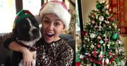 Miley Cyrus chwali się choinką...