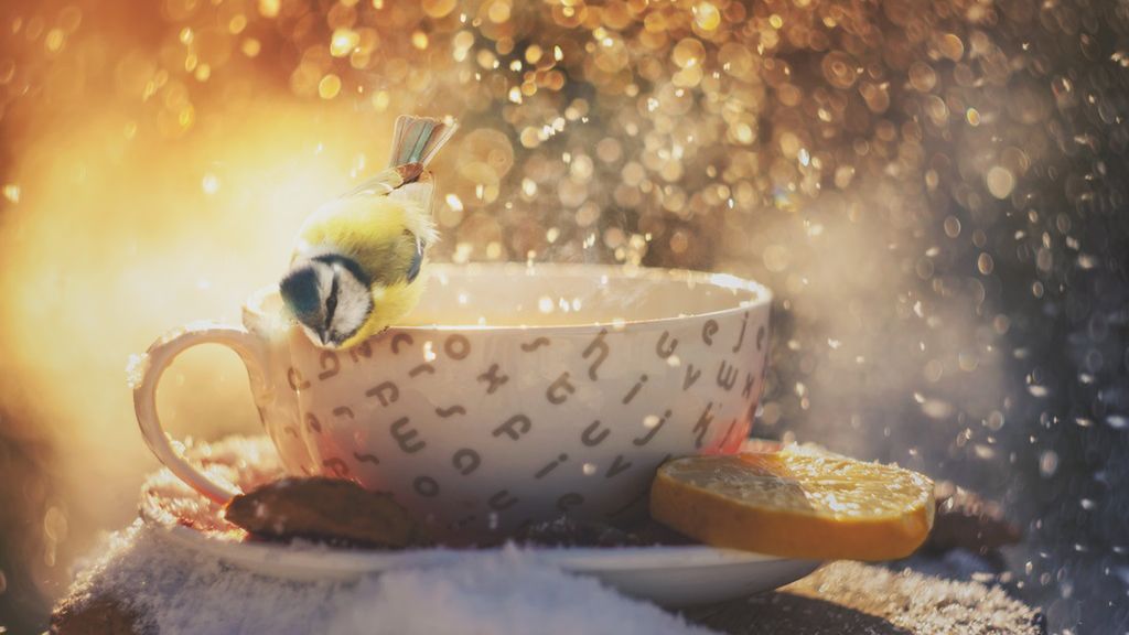 Opowieści z Narnii to seria książek uwielbiana przez dzieci na całym świecie