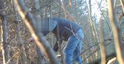 Lublin: Zakładał wnyki przed samym obiektywem fotopułapki. Niebawem odpowie za kłusownictwo