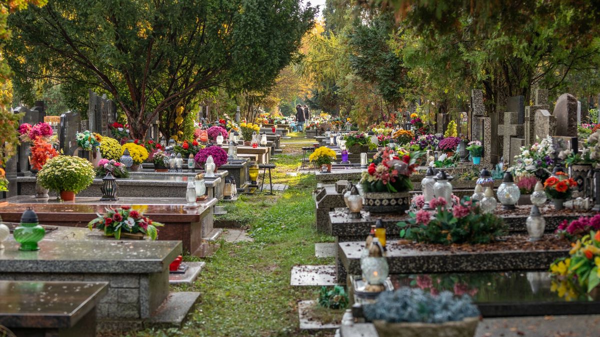 Leśnicy apelują, żeby nie kraść gałęzi na stroisze