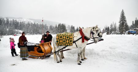 53. Góralski Karnawał w Bukowinie Tatrzańskiej – tradycja i folklor na najwyższym poziomie