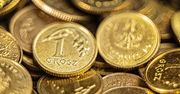Limit płatności gotówką od 2024 roku. Czym zaskoczy nas sejmowy projekt?