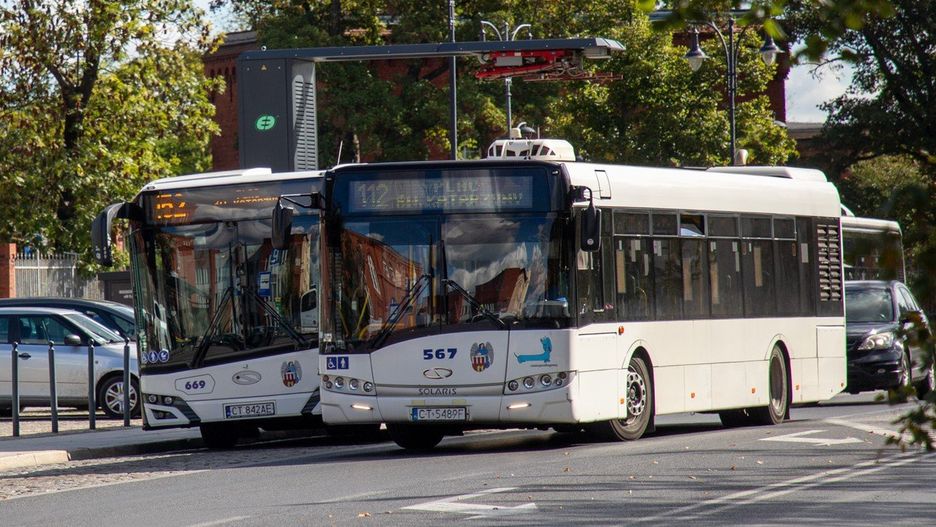 Autobusy MZK Toruń