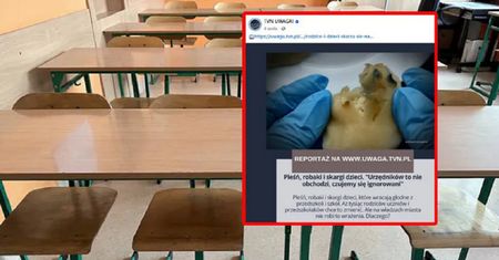 Skarżyli się na jedzenie w szkole. Presja zadziałała