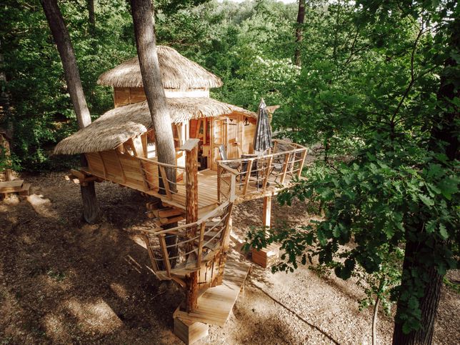 Domki na drzewach, TREEHOUSE