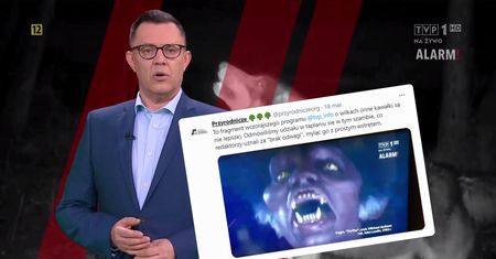 TVP traktuje wilki jako śmiertelne niebezpieczeństwo. Uderza też w ekologów