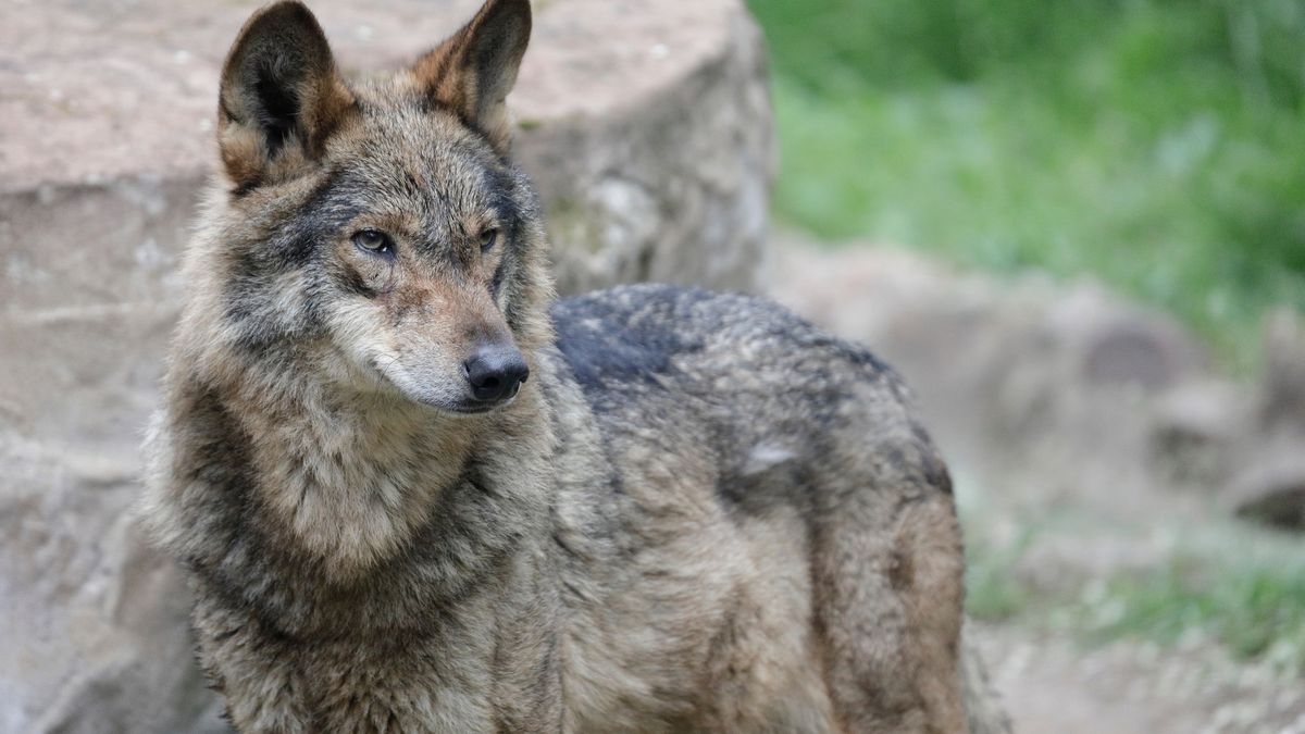 RDOŚ w Bydgoszczy wydaje ważny apel