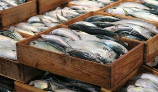 Uwielbiana w Polsce ryba może zniknąć. "To bardzo poważna sprawa"