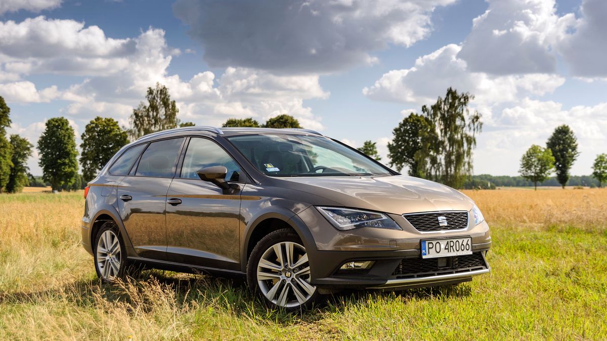 Zdjęcie ilustracyjne do artykułu