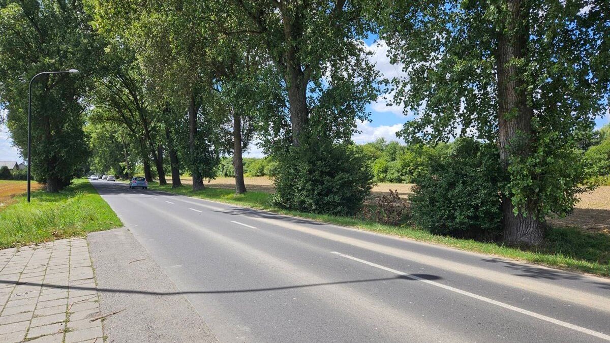 Przy ul. Krężnickiej może stanąć sklep sieci Biedronka