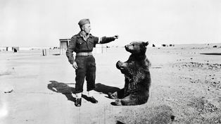 Niezwykły żołnierz. Fascynująca historia misia Wojtka