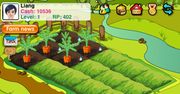 Papaya Farm – konkurent FarmVille ponownie w App Store