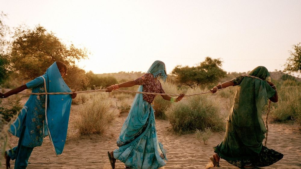 Zwycięzcy konkursu Syngenta Photography Award w walce z niedoborem zasobów naturalnych 1