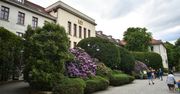 Przeczytaj zanim złożysz w ZUS wniosek o „stażowe”