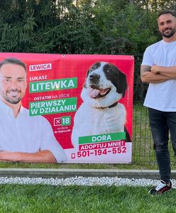 "Włochaci kandydaci" na banerach wyborczych. Zaskakująca kampania