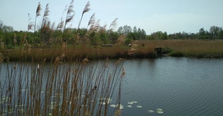 Warszawa. Kąpieliska i plaże wokół stolicy. Podpowiadamy, gdzie wypocząć