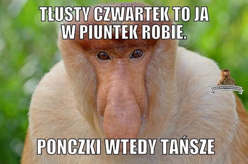 Memy o pączkach