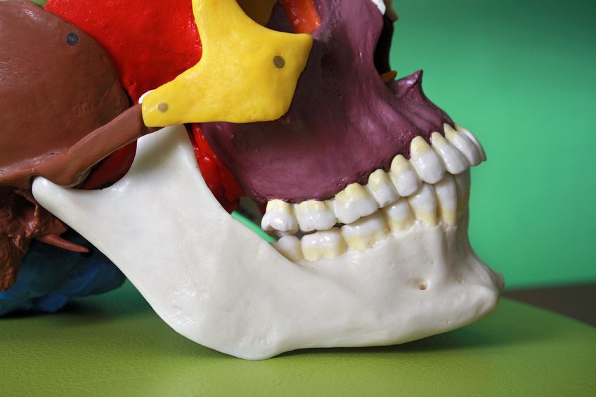 Jedną z chorób żuchwy jest szkliwiak