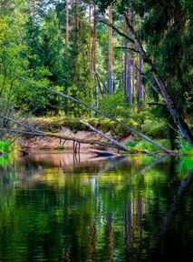 Polish scientists urge Donald Tusk to create a new national park