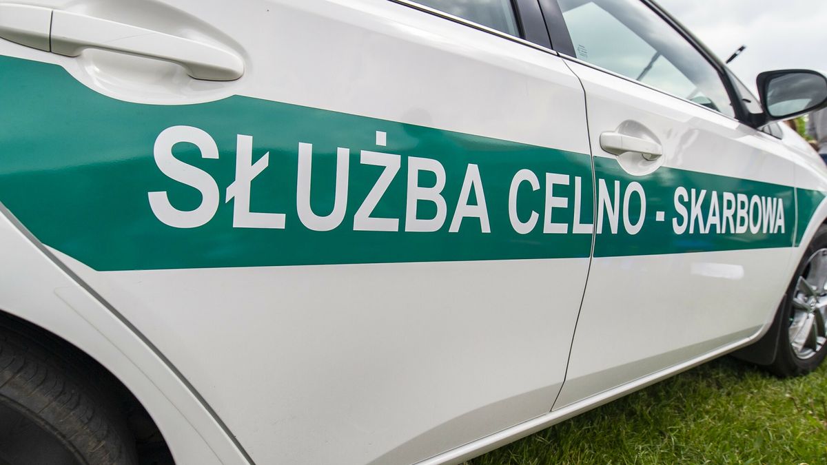 Prawie 2,5 mln kontroli skarbówki w 2024 r.