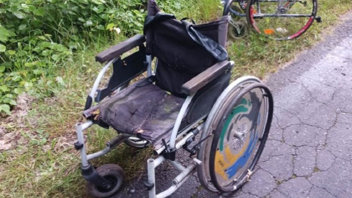 Szokujący widok w lesie. Internauta: "Cudownie uzdrowieni".