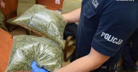 Śląskie. Pół kilograma marihuany leżało na biurku