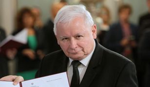 Kij w szprychy rewolucji (Opinia)