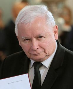 Kij w szprychy rewolucji (Opinia)