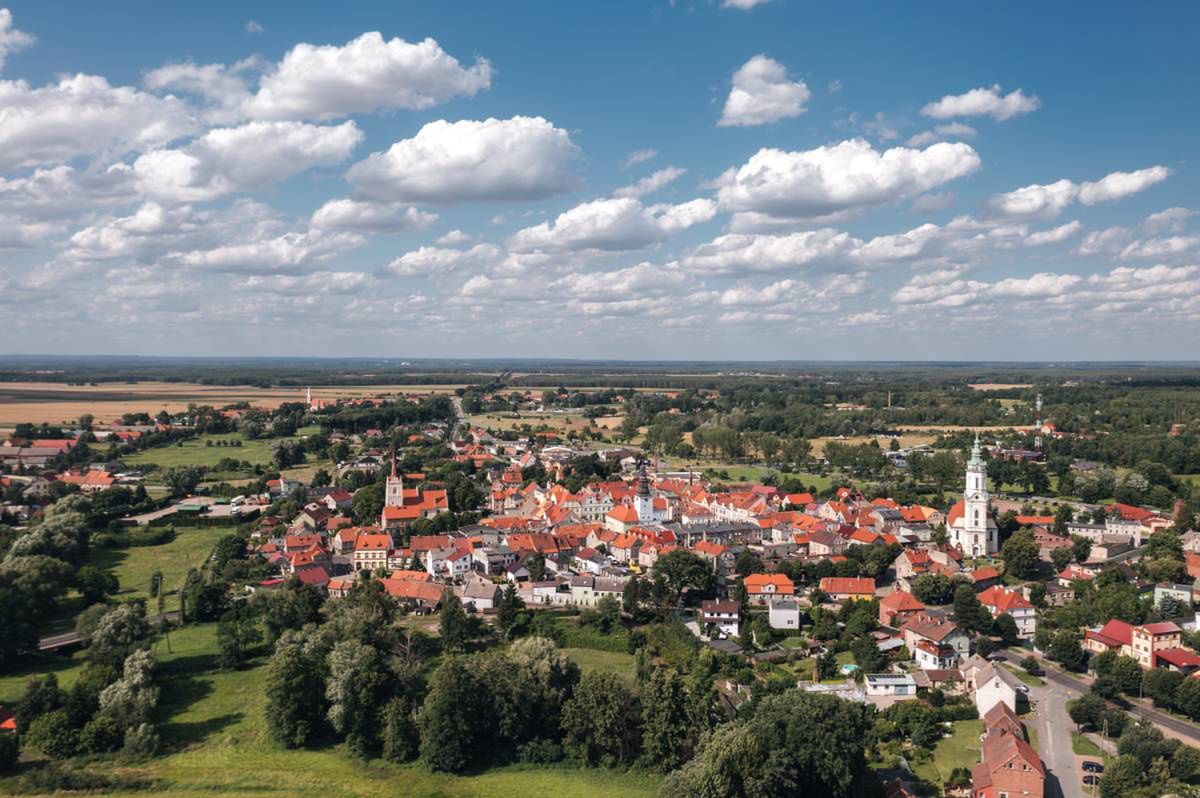 Duża konferencja w Nowym Miasteczku. Gmina opowiedziała o swojej historii i dziedzictwie
