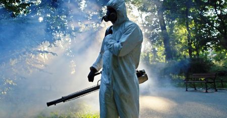 800 zł dzięki komarom. Tak zarabiają ci przedsiębiorcy
